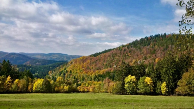 Valašsko, Pulčín