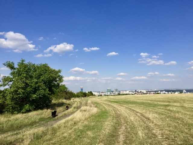 Praha, Dívčí Hrady